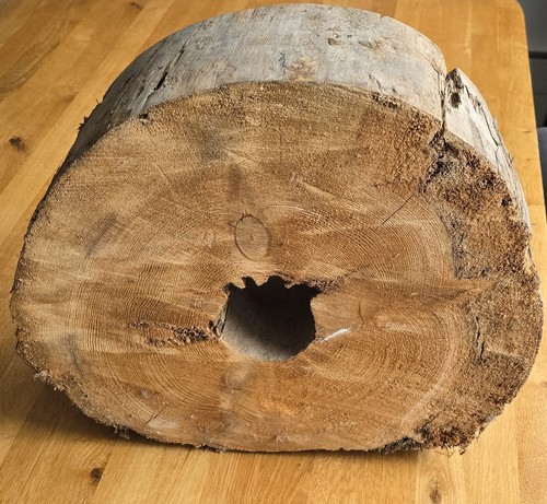 Holzwasserleitung ein - holzwasserleitung,,